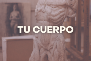 ¿Qué hay en tu cuerpo?