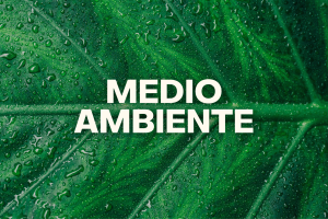 ¿Como el cambio climático afecta al medio ambiente?